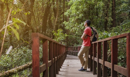 Resorts In Tadoba Kolara Gate