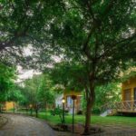 Safari Resort Tadoba In Tadoba