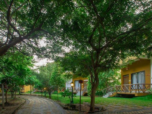 Safari Resort Tadoba In Tadoba