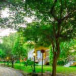 Wedding Resorts In Tadoba