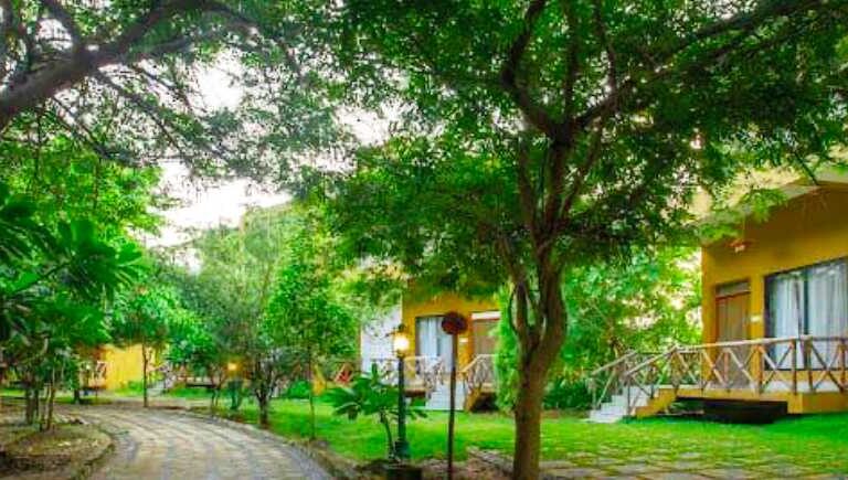 A 3-Day Itinerary for Wildlife and Relaxation at Chimur Tiger Resort, Tadoba