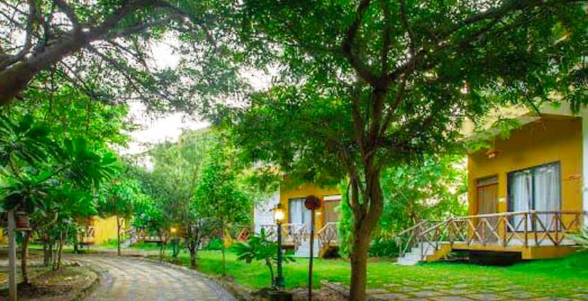 Wedding Resorts In Tadoba
