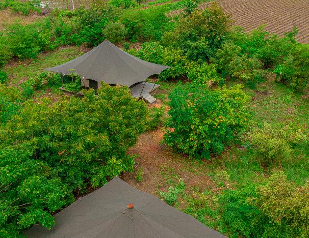Alizanza Gate Resort In Tadoba