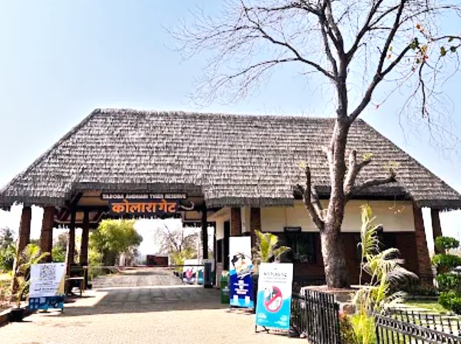 Tadoba Core Zone Resort